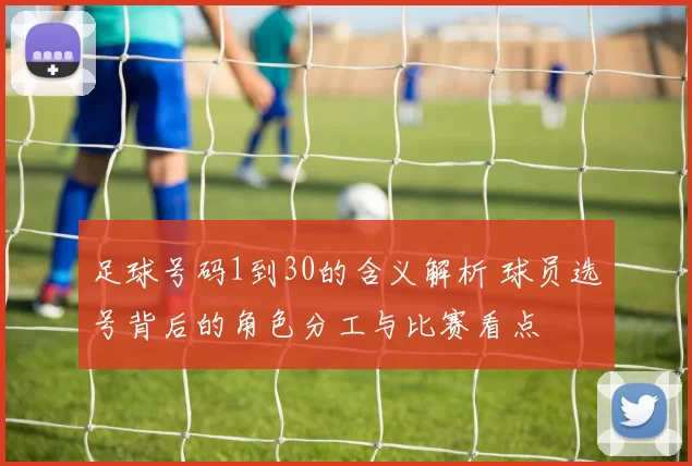 足球号码1到30的含义解析 球员选号背后的角色分工与比赛看点