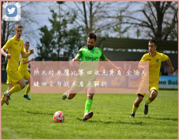 热火对老鹰比赛回放免费看 全场关键回合与战术看点解析