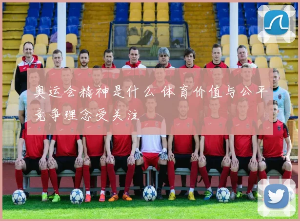 奥运会精神是什么 体育价值与公平竞争理念受关注