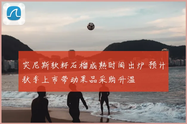 突尼斯软籽石榴成熟时间出炉 预计秋季上市带动果品采购升温