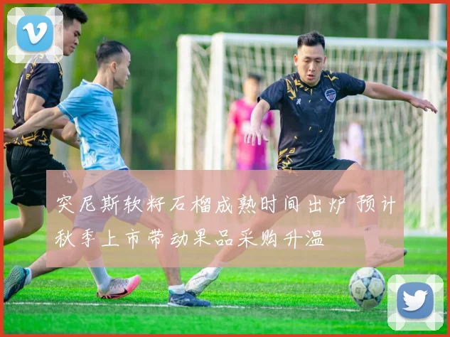 突尼斯软籽石榴成熟时间出炉 预计秋季上市带动果品采购升温